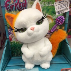 まぁるのプロフィール