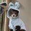 ほたるのサムネイル