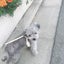 Fujikoのサムネイル