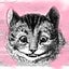チェシャ猫のサムネイル