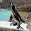 rinocoのサムネイル