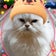 なんめん一家のHappy日記！。