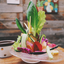 画像 魚と野菜の宅配・お取り寄せブログのユーザープロフィール画像
