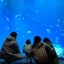 seichanのサムネイル