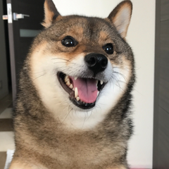 あずはなのプロフィール