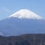 もなか＆だいふくのサムネイル
