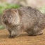 ゆいのサムネイル