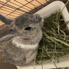 やまのプロフィール