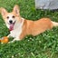 心花mihanaのサムネイル