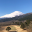 Teresaのサムネイル