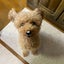 毎日懸賞⭐︎うっちーのサムネイル