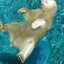 KEITOのサムネイル