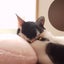さんみか🌺のサムネイル