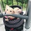 相模湖のオッサンのサムネイル
