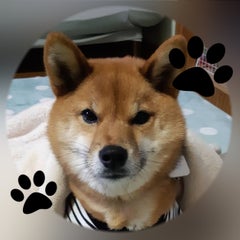 みくまにあのプロフィール