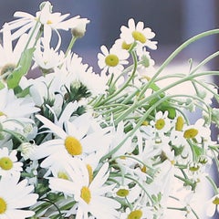colo_amのプロフィール