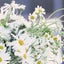 colo_amのサムネイル
