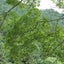 定年間近noおじさんのサムネイル