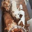 4  dog traveler　犬連れ専用喫茶ボイボイ　youtubeこちら、犬小屋ﾎｳｿｳｷｮｸ のサムネイル