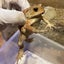 Daisukeのサムネイル