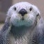 バンママのサムネイル