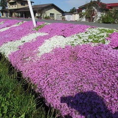 ひとり酒場のプロフィール