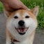 れぼん(ハピ)のサムネイル