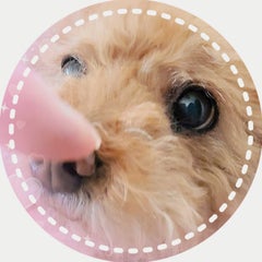 MとKのプロフィール