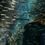 えだまえのサムネイル