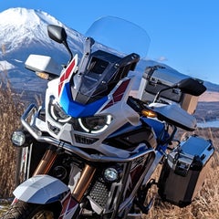 ダリのプロフィール