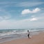 Lindenのサムネイル