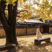 yui のおすすめのサムネイル