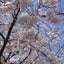 Lune pastimeのサムネイル