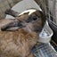 りりあのサムネイル