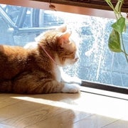 tamaの良かったら是非♪のサムネイル