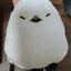 ちょこのののサムネイル