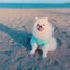 namikoのサムネイル