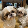 うーちゃんのプロフィール