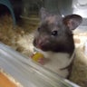 たぐママのプロフィール