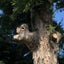 光野　凛のサムネイル
