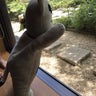 トムのプロフィール