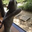 トムのサムネイル