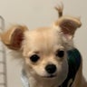 trip-bookmarkのプロフィール