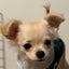 trip-bookmarkのサムネイル