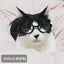 cocoのサムネイル