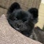 mamikumaのサムネイル