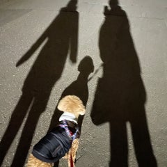 まうまーのプロフィール