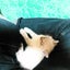 tamtam0206(暫定)のサムネイル