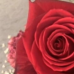 LILY'sGARDENのプロフィール