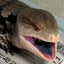 あおたんままのサムネイル